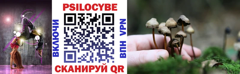 даркнет сайт Таштагол omg зеркало Псилоцибиновые грибы GOLDEN TEACHER